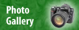 photo gallery